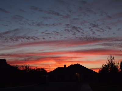 [Behind the dark buildings and trees on the street are stripes of bright orange-pink against a blue sky. Small dark grey dots of clouds sit above the stripes.]